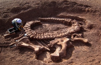 Ученые обнаружили в Аргентине место с большим количеством ископаемых Юрского периода