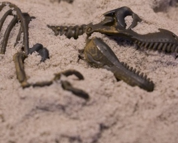 Ученые: В Аргентине найдены останки жителей Юрского периода