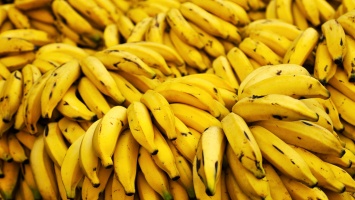 В Украине упали цены на бананы