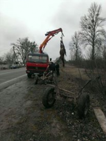 Во Львовской области конная повозка спровоцировала ДТП с микроавтобусом