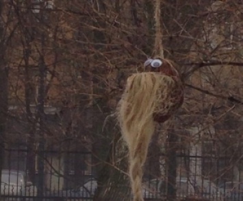 Последователи московской няни-убийцы:в саратовском парке обнаружена висящая на дереве голова ребенка