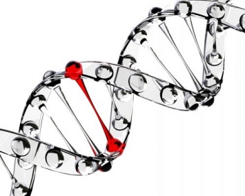 Ученые: Окаменелости вирусов в ДНК человека защищают от болезней