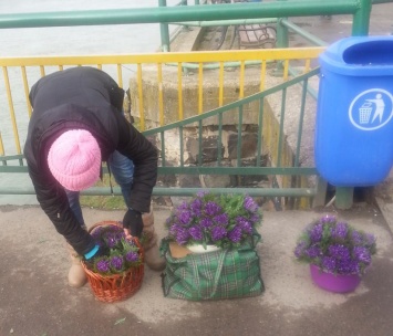 А нам все равно: в Ужгороде массово продают первоцветы (ФОТО)