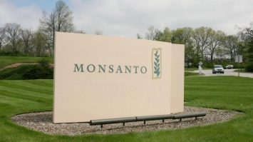 Американский ГМО-гигант Monsanto может прекратить работу в Индии