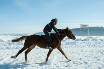В Прикамье пройдут Великоленские скачки лошадей