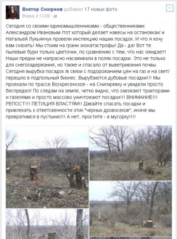 В Николаевской области массово вырубают лесополосы: «Мы стоим на грани экокатастрофы...»