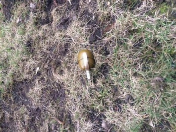 В Ровно возле частного дома нашли боевую гранату