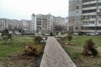В Черноморске одним красивым двориком стало больше