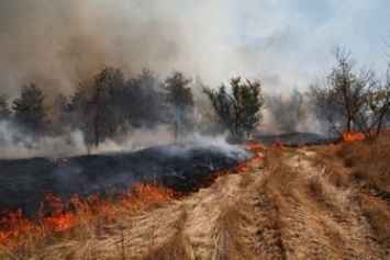 Пожар под Киевом не несет угрозу столице