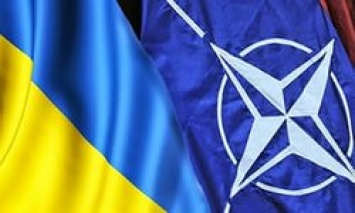 Украина не сможет вступить в НАТО до конца войны на Донбассе - Центр Разумкова