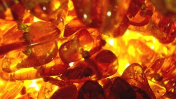 Волынская ОГА: запасы янтаря в области оценены в $4 млрд