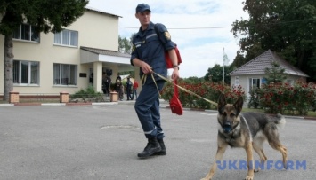 В Харькове "минировали" гимназию