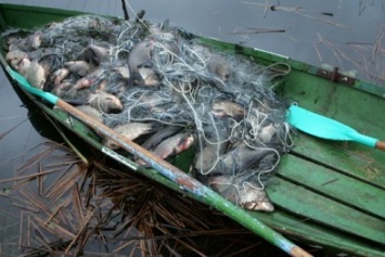 С начала года пограничниками Херсонщины выявлено 350 кг рыбы и 80 кг креветки