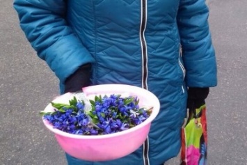 В Кременчуге прохожие и полиция «наказали» продавщицу краснокнижных первоцветов