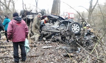 В Киевской обл. Toyota слетела в кювет, погибли три человека