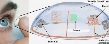 Рыбы и насекомые помогут в разработке контактных линз будущего
