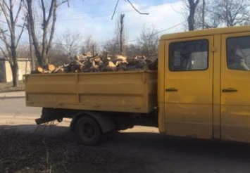 В Кривом Роге задержали водителя, который перевозил около 4 кубов пиленого леса без документов