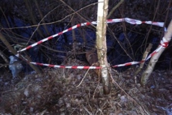 В Чудновском районе дети нашли снаряды
