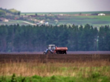 На продажу земли из госфонда уйдет два года - глава Госгеокадастра