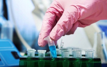 Российскими учеными создан революционный препарат против рака