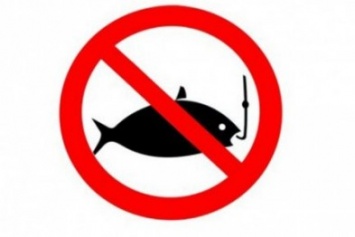 Запрет на ловлю рыбы вступает в силу с 1 апреля