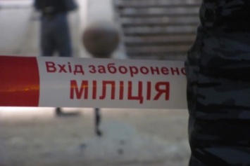В Житомире обезвредили подозрительный портфель, обнаруженный на ул. Победы