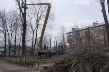 На следующей неделе в Красноармейске (Покровске) определят кто будет пилить деревья и бюджетные средства