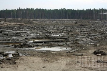 На Ривненщине подполковник СБУ и сотрудник Госпогранслужбы «крышевали» янтарные «копанки»