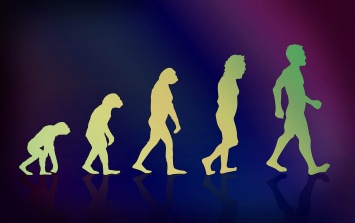 6 доказательств эволюции, которые все еще присутствуют на теле