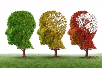 Куда деваются воспоминания при болезни Альцгеймера