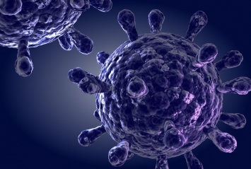 Ученые: Обнаруженные в организме человека клетки могут победить ВИЧ