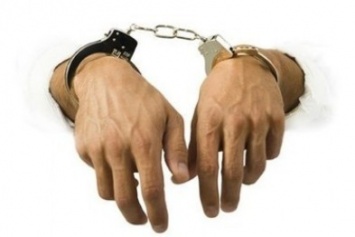 Задержанного «криминального авторитета» Гогу Сумского отпустили