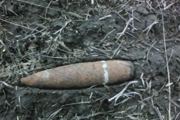 На Житомирщине пиротехники уничтожили 18 снарядов