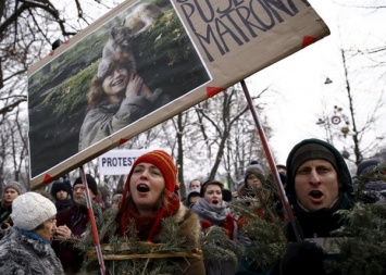 В Польше планируют вырубку в Беловежской пуще