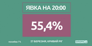 Явка на выборах мэра Кривого Рога превысила 55%