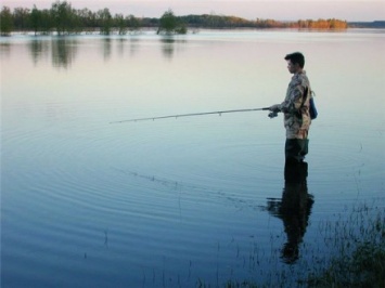 Вылов биоресурсов в водоемах Украины в 2015 году увеличился на почти 18%