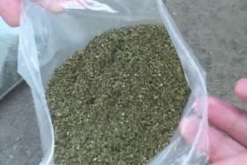 У жителя Менского района нашли полкило марихуаны