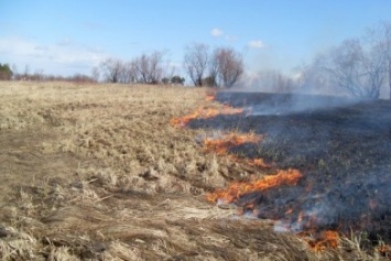 В Житомирской области участились возгорания сухой растительности