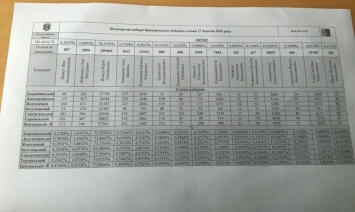 Оглашены итоги внеочередных выборов в Кривом Роге