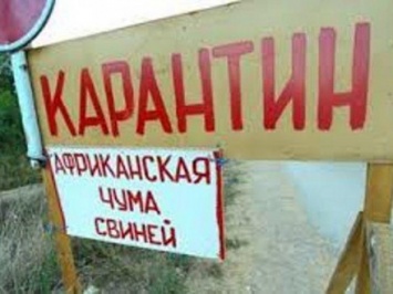 Госсанэпидслужба запретила торговать свининой в части Кировоградской области