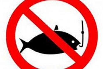 С 1 апреля в Сумах и области запрещена рыбалка (ТАБЛИЦА ШТРАФОВ)