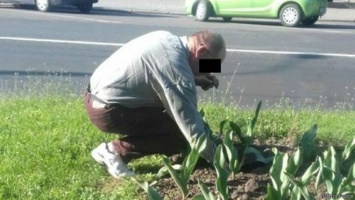 Патрульные заставили мужчину сажать тюльпаны