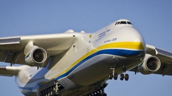 Самый большой самолет мира "Мрия" вернулся в Украину (Видео)