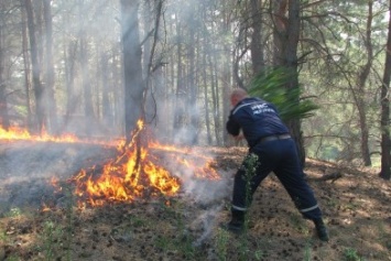 Под Славянском спасатели будут тушить лес