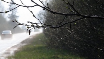 Завтра в Украине грозовые дожди