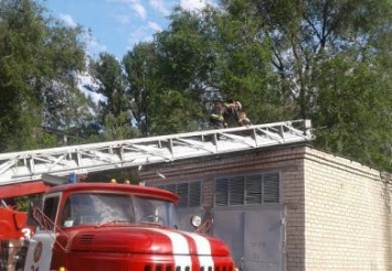 На Днепропетровщине спасатели сняли с крыши 6-летнего мальчика