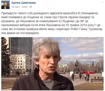 МВД установило личность напавшего на жену Турчинова