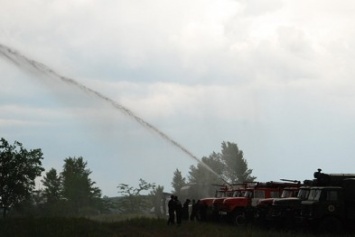 На Николаевщине потушили условный лесной пожар (ФОТО)
