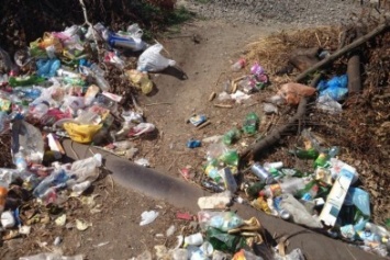 Южнобережный феномен: с ялтинских пляжей мусор вывозят тоннами
