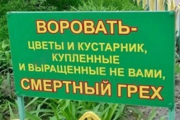 Керчанка выкопала с городских клумб 300 кустов роз и цветов